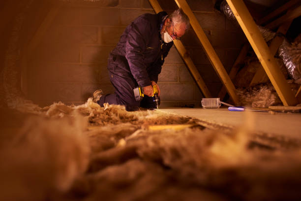 Best Geographic-Specific Insulation Services in Burgin, KY